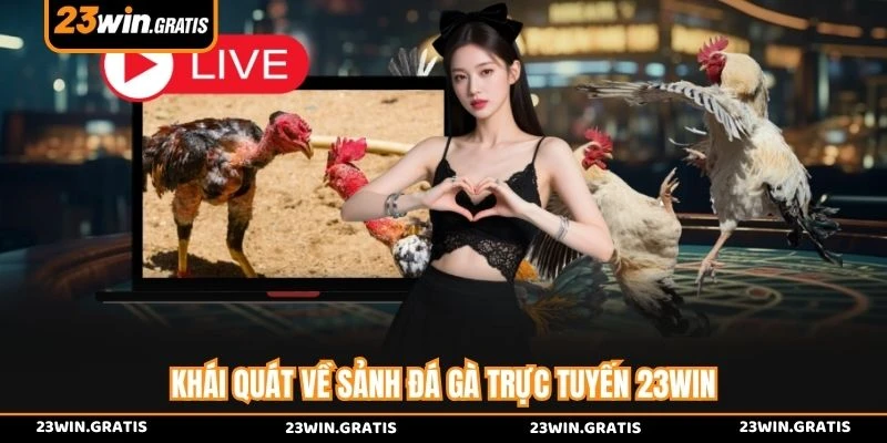 Khái quát về sảnh đá gà trực tuyến 23WIN
