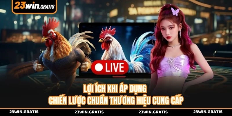 Lợi ích khi áp dụng chiến lược chuẩn thương hiệu cung cấp