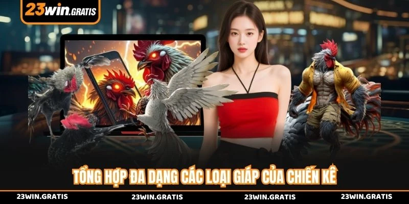 Tổng hợp đa dạng các loại giáp của chiến kê